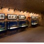 Sea Museum and Dolphinarium