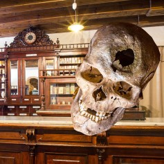 Museum of the History of Lithuania Medicine and Pharmacy
